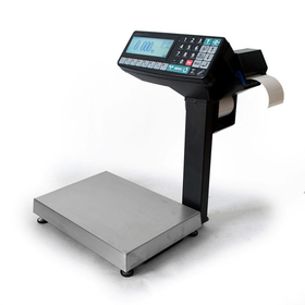 Весы-регистратор с печатью этикетки МАССА МК-15.2-RP-10 (фасовочные без смотчика)