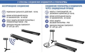 Весы стержневые МАССА 4D-B-23-2000