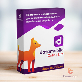 Лицензия DataMobile Online Lite